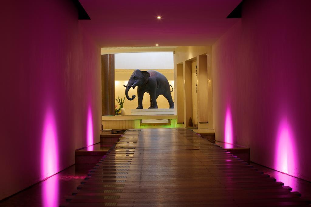 Seaham Hall And Serenity Spa Extérieur photo
